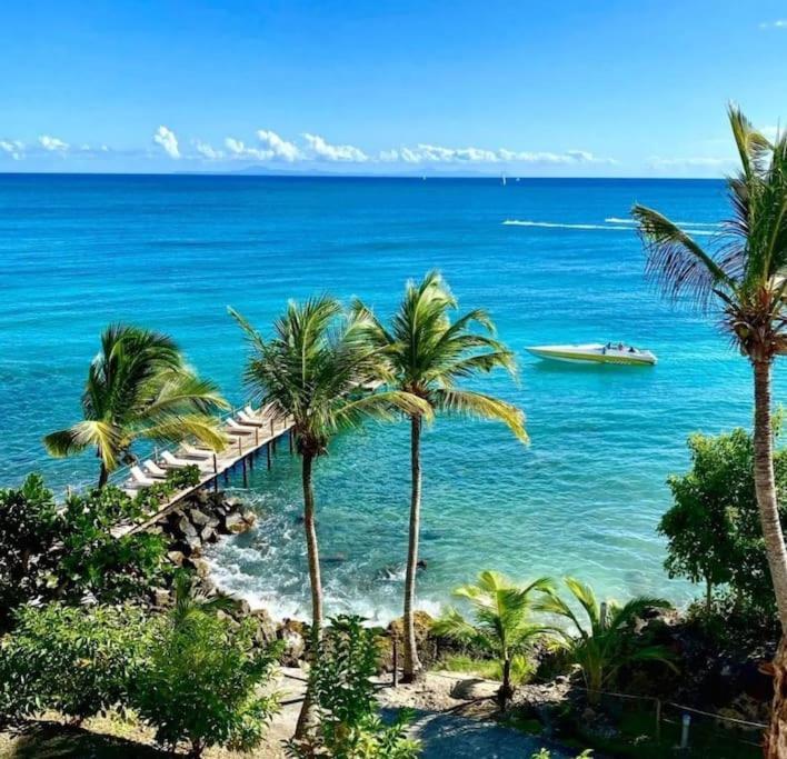 Appartement Terrasse Vue Mer Et Piscine 勒迪亚芒 外观 照片
