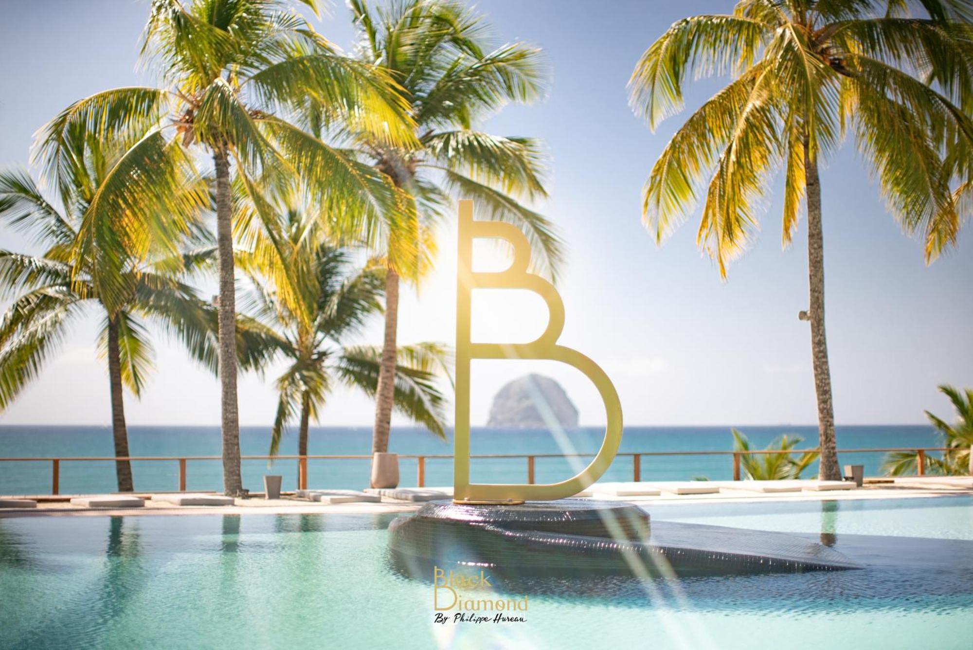 Appartement Terrasse Vue Mer Et Piscine 勒迪亚芒 外观 照片